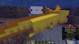 How to find the RARE Blue Axolotl in Minecraft – 1 in 1200 Chance of Finding   1.17 Caves and Cliffs