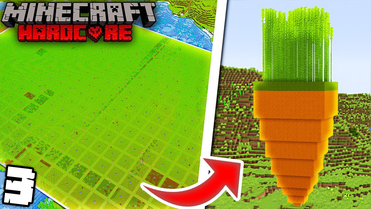 I Built The BIGGEST Carrot Farm In Minecraft Hardcore Minecraft Videos   I Built The BIGGEST Carrot Farm In Minecraft Hardcore 