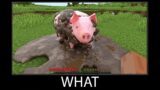 Minecraft wait what meme part 140 realistic minecraft Dirt and Pig