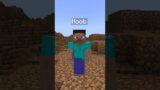 POV: You barely escape the minecraft noob police