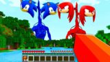 SIREN KNUCKLES ET SIREN SONIC 2 M'ATTAQUE Sur MINECRAFT !