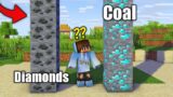 I Fooled This Boy by SWAPPING Coal And Diamonds Textures in Minecraft….