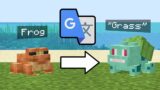 I Google Translated Minecraft Mobs 900 Times
