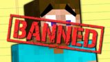 MINECRAFT STEVE HAS OFFICIALLY BEEN BANNED IN SMASH ULTIMATE