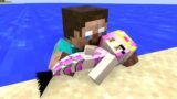 MONSTER SCHOOL : HEROBRINE AND BABY MERMAID – MINECRAFT ANIMATION