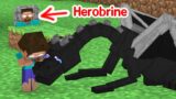 Monster School : Baby Herobine and Dragon Story – Minecraft Animation