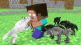 Monster School : Baby Herobrine and Wolf Life – Minecraft Animation