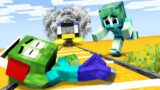 Monster school : Baby Zombie lost its ugly Mother – Very Sad Story – Minecraft Animation