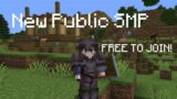 New Public Minecraft SMP (OneMC)