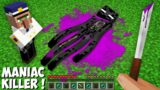 Why i became A MANIAC AND KILLED THE ENDERMAN in Minecraft ? COMMITTED A TERRIBLE MURDER !