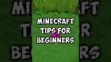 Beginner Minecraft Tips!!!1