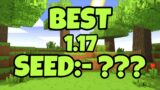 Best Seed Spawn Ever In Minecraft #10