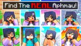 Find the REAL APHMAU in Minecraft!
