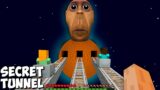 I found SECRET ROAD to OBUNGA PLANET in MINECRAFT animation! THE MAN FROM WINDOW Scooby