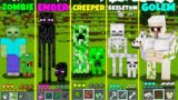 Minecraft PETS ZOMBIE ENDERMAN CREEPER SKELETON monster school Animation How to Play Life Cycle