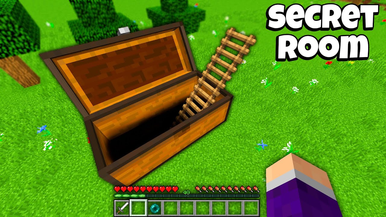 Where do leads this BIGGEST LADDER inside BIGGEST CHEST in Minecraft