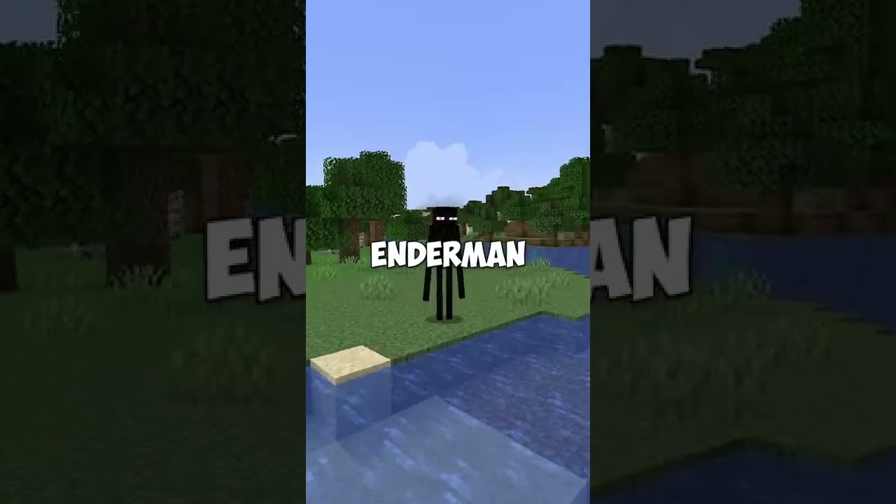 minecraft's biggest lie Minecraft videos