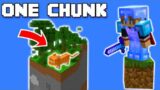 A TRAGEDY Occurred On The One Chunk Minecraft World :/ (#9) #shorts