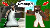 Granny vs Minecraft Granny – funny horror animation parody (p.188)