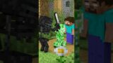 MINECRAFT ON 1000 PING When Wither Skeleton Attack Villagers – Monster School Minecraft Animation