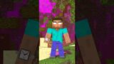 MINECRAFT ON 1000 PING (Zombie Attack on the Mermaid) – Monster School Minecraft Animation