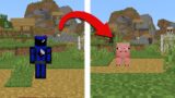 Minecraft, But If You Like The Video Something RANDOM Happens…