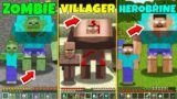 Minecraft HOW HEROBRINE ZOMBIE VILLAGER BECOME MUTANT Animation How to Play Life Cycle