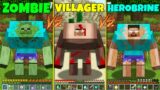 Minecraft MUTANT HEROBRINE vs MUTANT VILLAGER vs MUTANT ZOMBIE monster school Animation How to Play