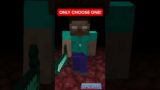 Minecraft ONLY ONE Herobrine Can Be SAVED