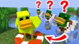 Monster School : Season 1 All Episode Poor Duck and Baby Zombie – Minecraft Animation