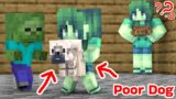 Poor Dog No Way Home – Monster School Minecraft Animation