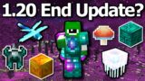 What if Minecraft 1.20 is The End Update?
