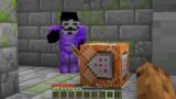Banning A Cheater In Survival Minecraft