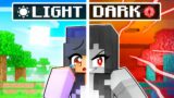 Half LIGHT Half DARK in Minecraft!