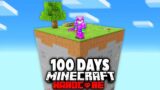 I Survived 100 Days on ONE CHUNK in Hardcore Minecraft!