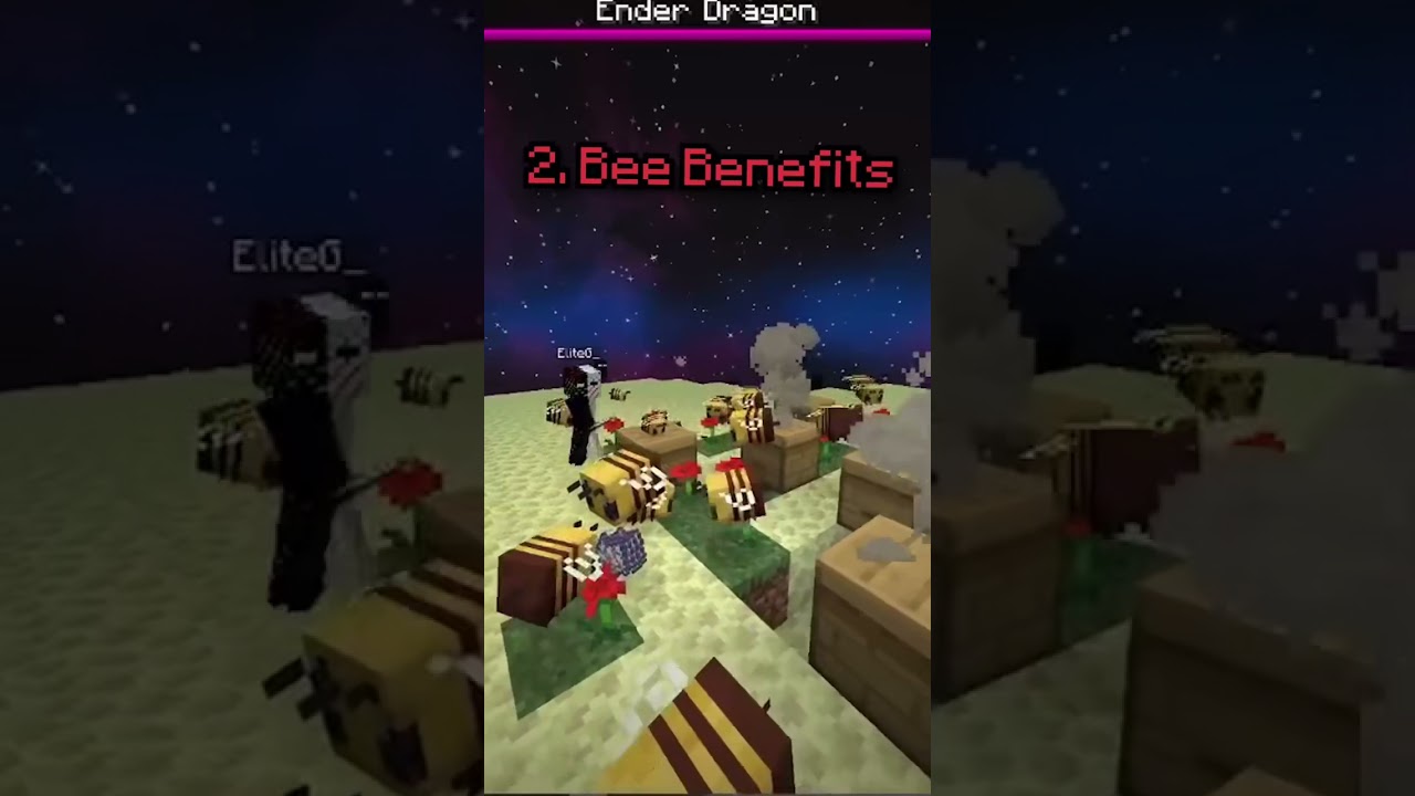 MINECRAFT THINGS YOURE DOING WRONG - Minecraft videos