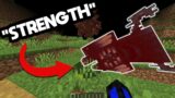 Minecraft, But Any Effect I Say I GET…