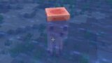 Minecraft But ITS CURSED…