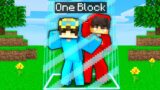 Minecraft But We're LOCKED In ONE BLOCK!