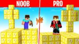 Minecraft NOOB Vs PRO : Skyblock LUCKYBLOCK Challenge