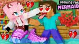 Monster School : MERMAID Don't Like HEROBRINE – Valentine's Day Challenge – Minecraft Animation