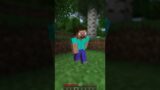 ONI ZMIENILI SKIN STEVE W MINECRAFT!