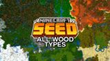 This Minecraft Seed has ALL 6 WOOD TYPES at Spawn! (Minecraft Bedrock Edition 1.16 Seed)