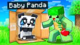 HELPING A Lost Baby Panda in Minecraft!