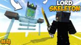 I Fought with SKELETON LORD in Minecraft World Maze [Episode 4]
