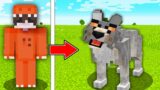 I Pranked My Friend as a Wolf in Minecraft!