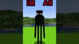 Minecraft, But I'm An ENDERMAN…