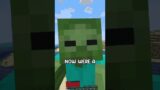 Minecraft, But YOU Control Who I Am…