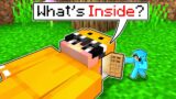 What's Inside KORY'S Head in Minecraft!