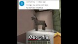 YOUR Favorite Crimes to Commit in Minecraft